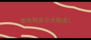 金毛狗多少天驱虫