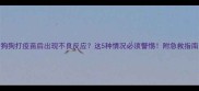狗狗打疫苗后出现不良反应这5种情况必须警惕附急救指南