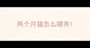 两个月猫怎么喂养