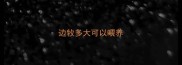 边牧多大可以喂养