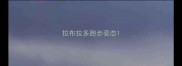 拉布拉多跑步姿态