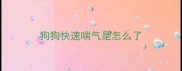 狗狗快速喘气是怎么了