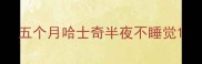 五个月哈士奇半夜不睡觉
