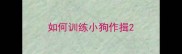 如何训练小狗作揖