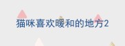 猫咪喜欢暖和的地方