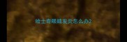 哈士奇眼睛发炎怎么办