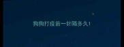 狗狗打疫苗一针隔多久