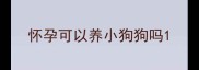 怀孕可以养小狗狗吗