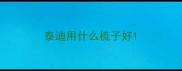 泰迪用什么梳子好