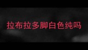 拉布拉多脚白色纯吗