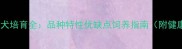 博美泰迪混血犬培育全品种特性优缺点饲养指南附健康监测手册