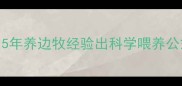 边牧1斤狗粮能吃多久5年养边牧经验出科学喂养公式附每日喂食参考表