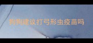 狗狗建议打弓形虫疫苗吗