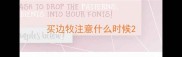 买边牧注意什么时候