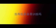 拉布拉多容易训练吗