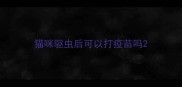 猫咪驱虫后可以打疫苗吗