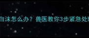 金毛犬突然咳嗽吐白沫怎么办兽医教你3步紧急处理法附护理全攻略