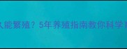 银龙鱼多久能繁殖5年养殖指南教你科学育幼全流程