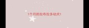 1个月的拉布拉多幼犬