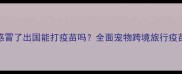 宠物感冒了出国能打疫苗吗全面宠物跨境旅行疫苗指南