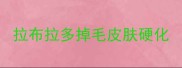 拉布拉多掉毛皮肤硬化