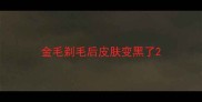 金毛剃毛后皮肤变黑了