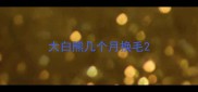 大白熊几个月换毛