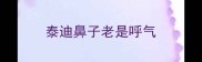 泰迪鼻子老是呼气