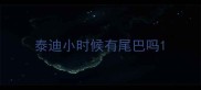 泰迪小时候有尾巴吗