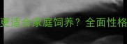 萨摩耶VS哈士奇哪个更适合家庭饲养全面性格饲养成本及健康问题
