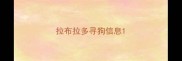 拉布拉多寻狗信息