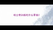 哈士奇训练吃什么零食