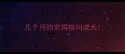 几个月的史宾格叫成犬