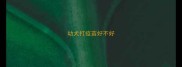 幼犬打疫苗好不好