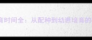 哈士奇生育时间全从配种到幼崽培育的完整指南