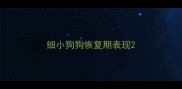 细小狗狗恢复期表现