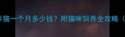 最新费用清单养猫一个月多少钱附猫咪饲养全攻略附省钱技巧