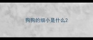 狗狗的细小是什么