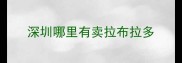 深圳哪里有卖拉布拉多