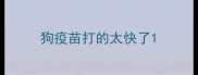 狗疫苗打的太快了