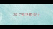 2017宠物狗排行