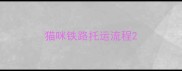 猫咪铁路托运流程