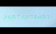 边牧鼻子凉是不是感冒了