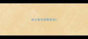 哈士奇毛变黄变淡