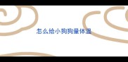 怎么给小狗狗量体温