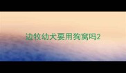 边牧幼犬要用狗窝吗