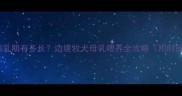 边境牧羊犬幼犬哺乳期有多长边境牧犬母乳喂养全攻略附时间表与注意事项