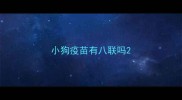 小狗疫苗有八联吗