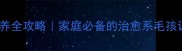 金毛幼犬领养全攻略家庭必备的治愈系毛孩训练指南