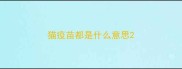 猫疫苗都是什么意思